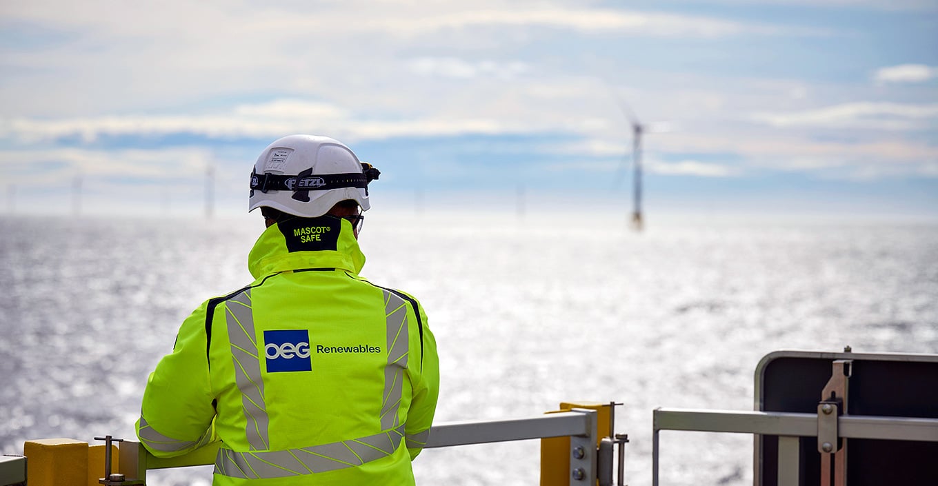 OEG Renewables engineer looking out to sea