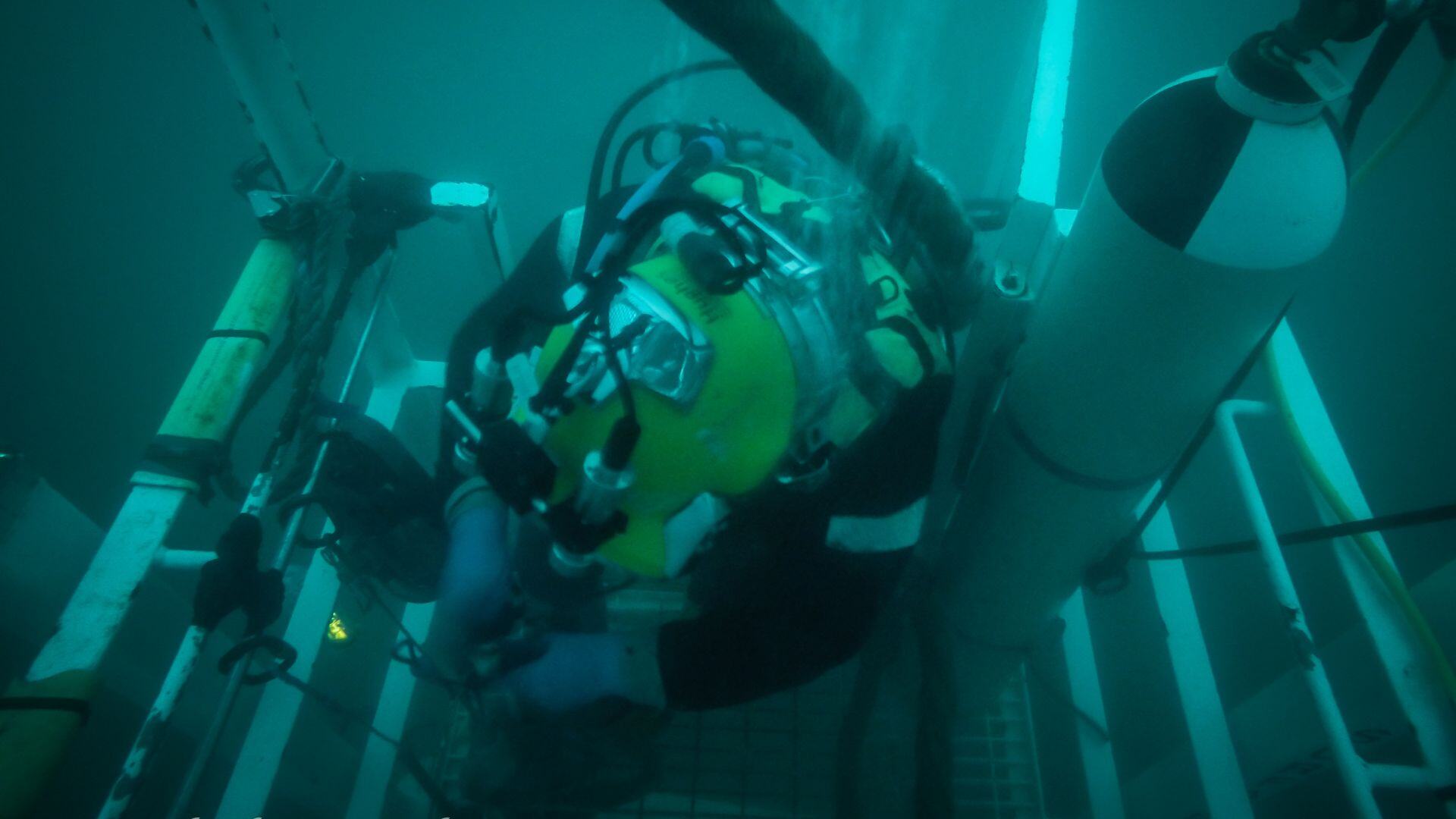 Subsea diver